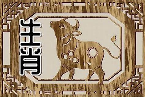 67年次生肖|67年属什么生肖属相 67年属相哪个命运如何